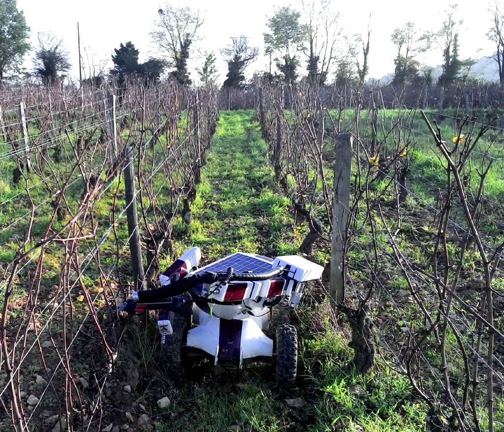 GuyotPouilly0_121113